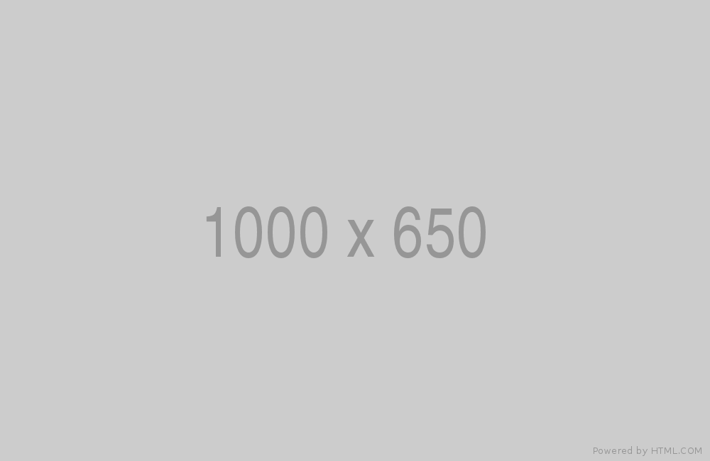 CHANEL☆2019 年春夏新作！クラシック フラット ミニ財布